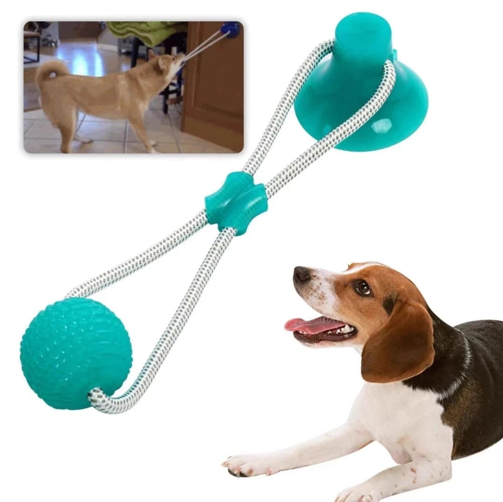 🐶 Ejercitador de Mandíbula para Perros | Diversión y Salud