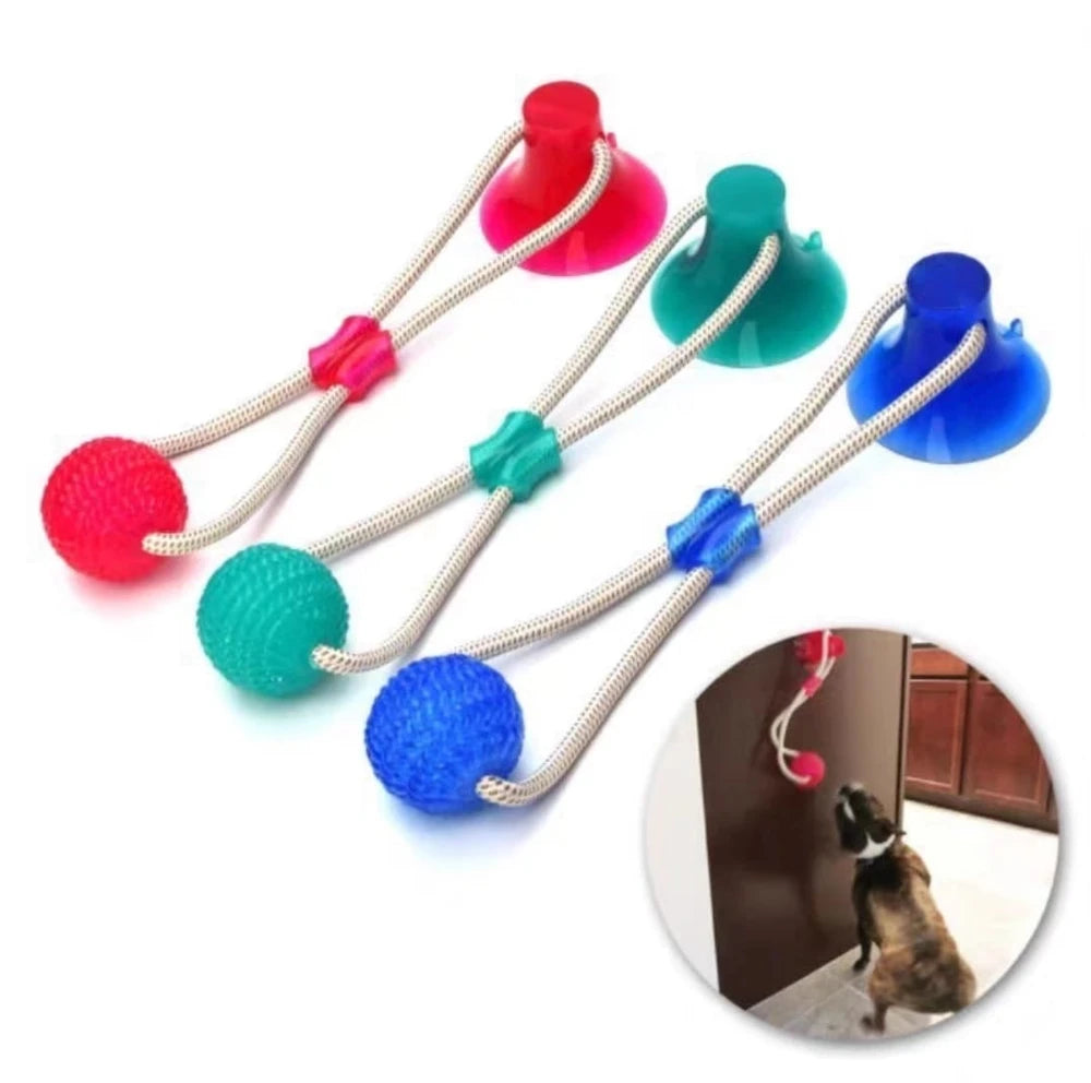 🐶 Ejercitador de Mandíbula para Perros | Diversión y Salud