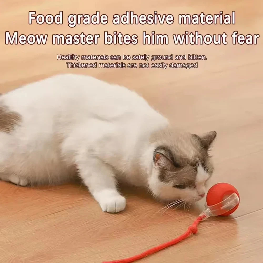 😻 Pelota Interactiva | Horas de Juego para Mascotas