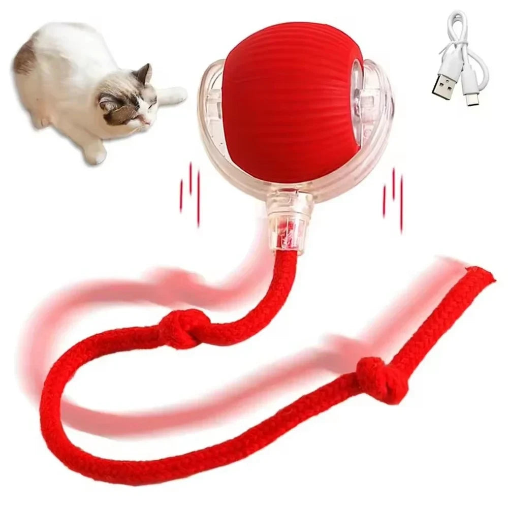 😻 Pelota Interactiva | Horas de Juego para Mascotas