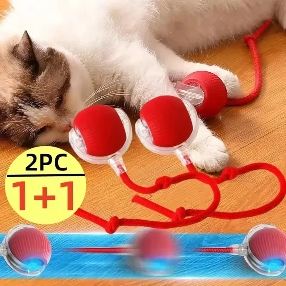 😻 Pelota Interactiva | Horas de Juego para Mascotas